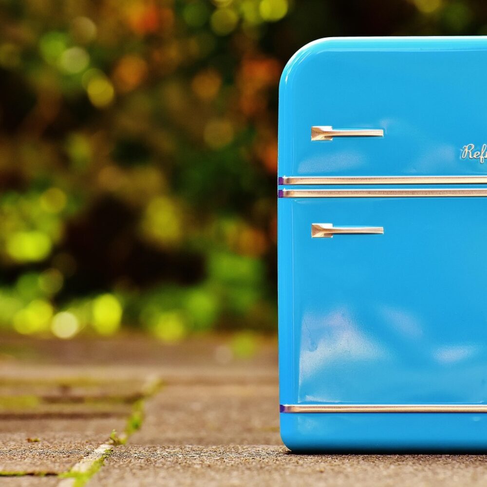 Membersihkan Karet Pintu Kulkas