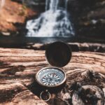 compass, nature, survival, trees, forest, wilderness, brown forest, compass, compass, compass, survival, survival, survival, survival, survival